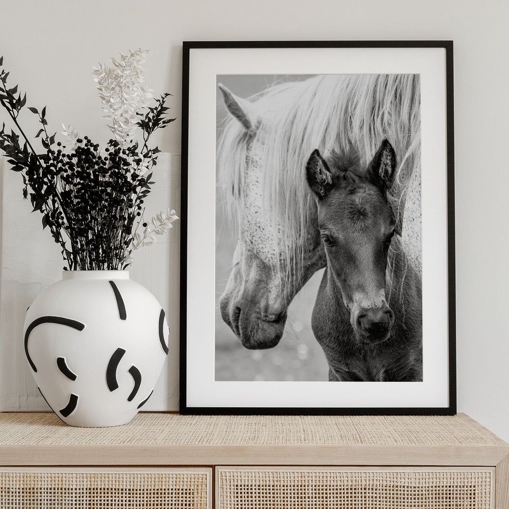 The Foal - Art Print by Jacky Parker