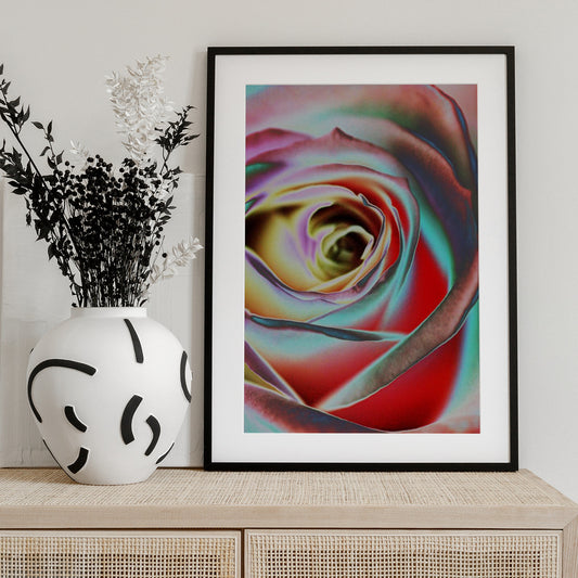 Rose - Art Print by Andre Koenig