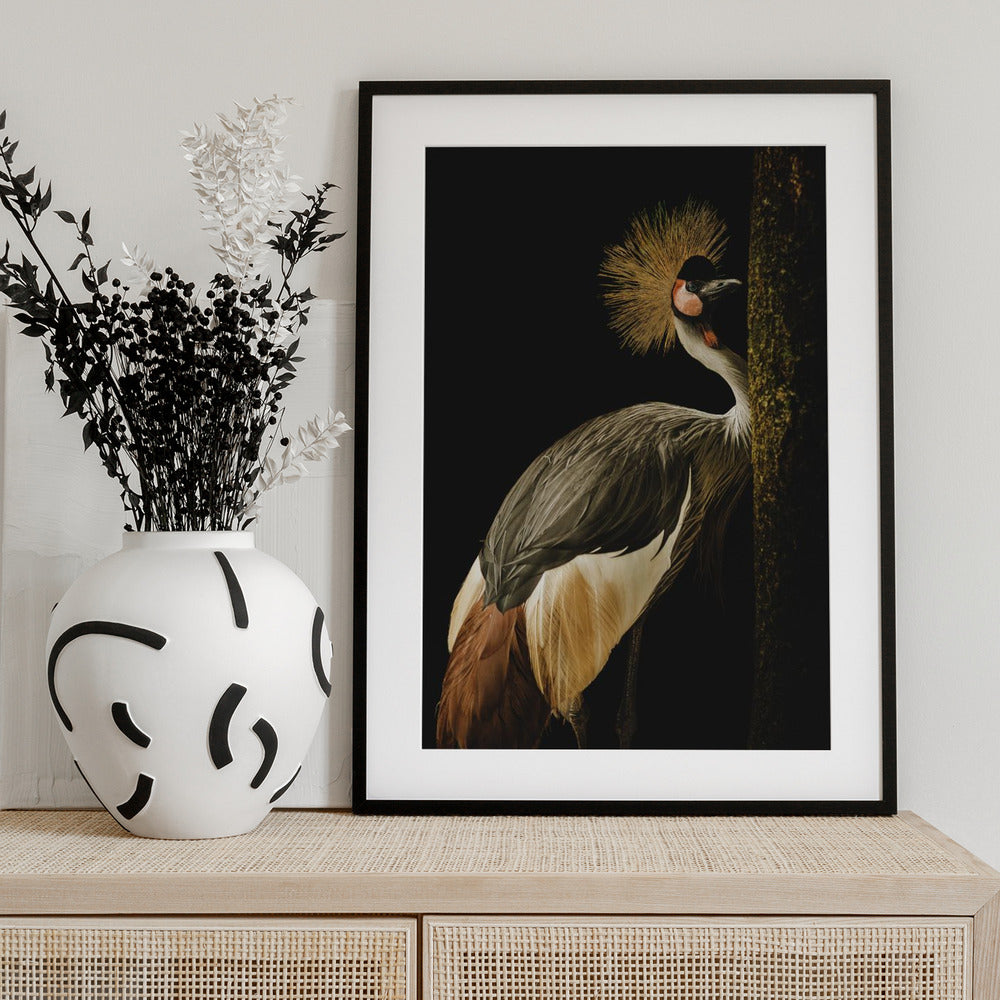 Grey Crowned Crane - Art Print by Jealousy