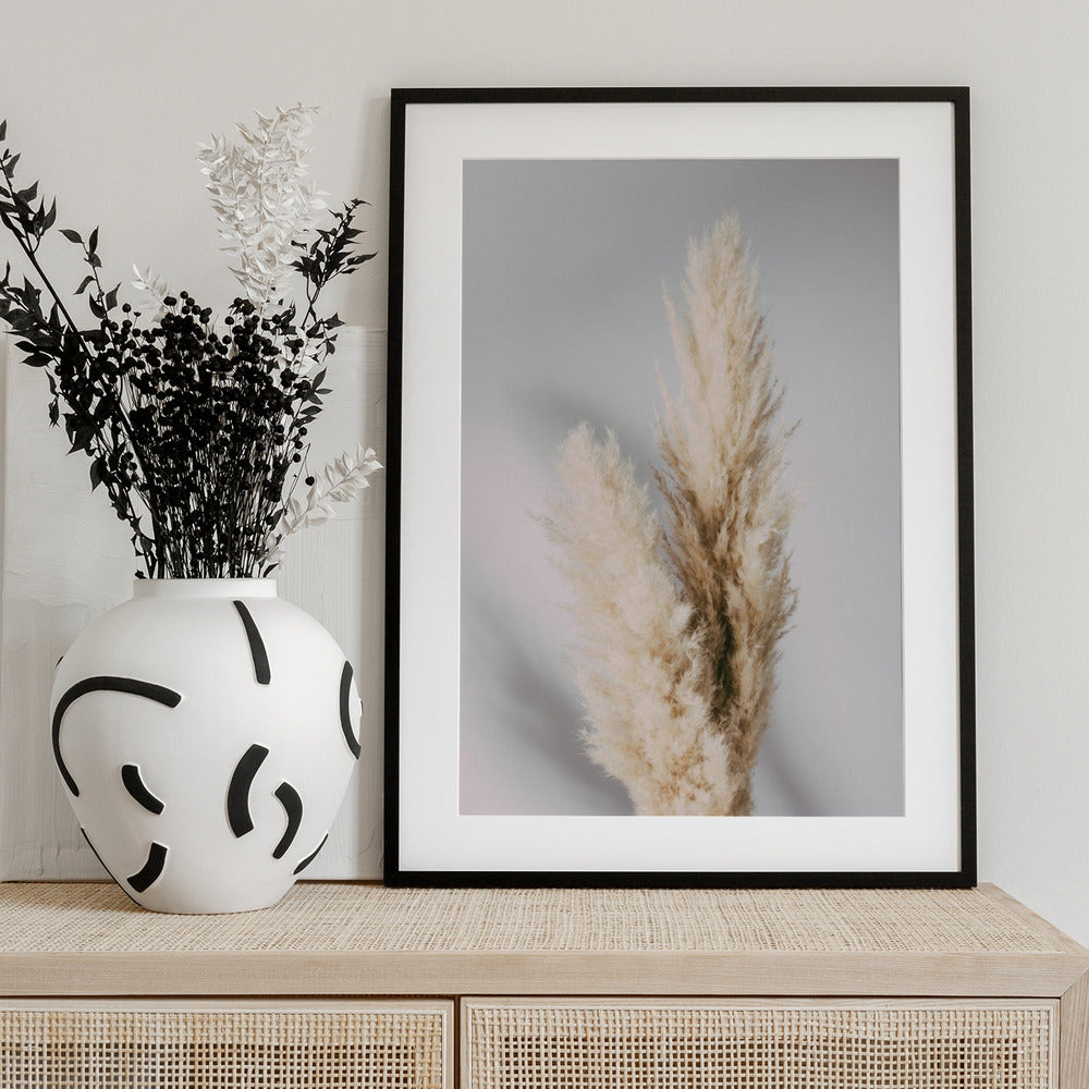 Pampas Grass Grey - Art Print by Pictufy Studio III