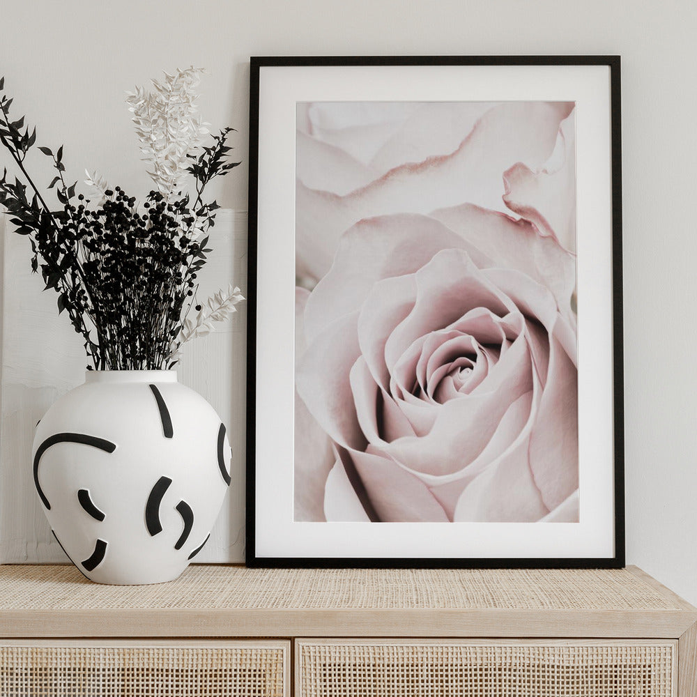 Pink Rose No 05 - Art Print by Pictufy Studio III