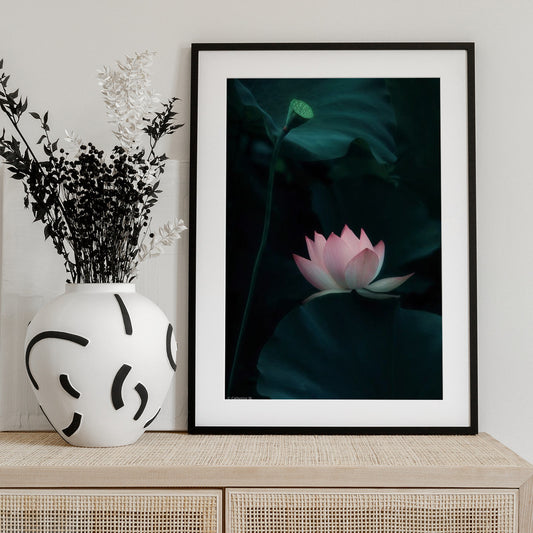 Lotus Flower - Art Print by Catherine Wang