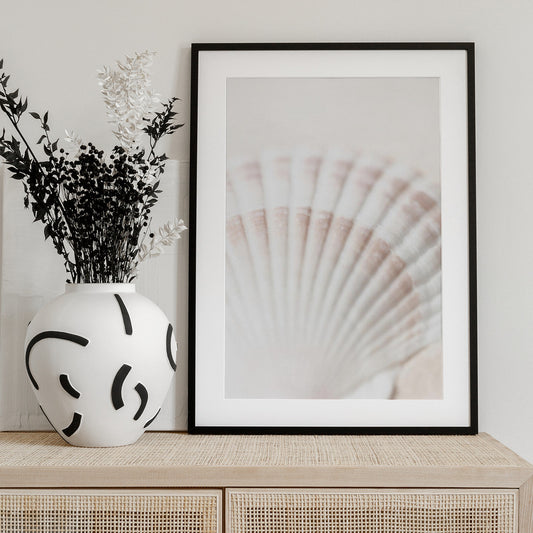 Shell - Art Print by Pictufy Studio III