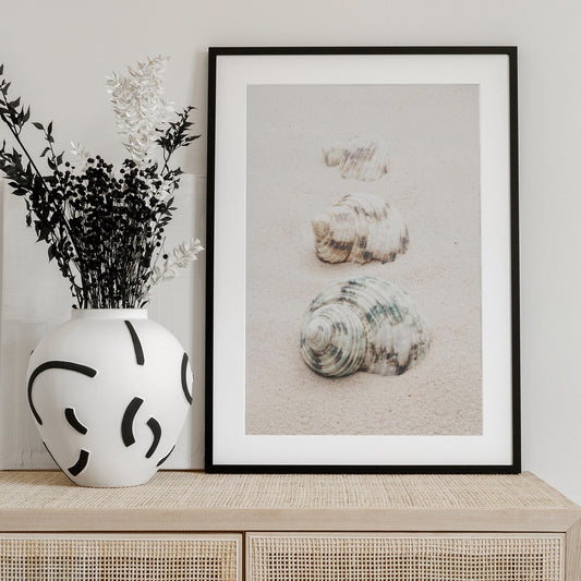Shells - Art Print by Pictufy Studio III