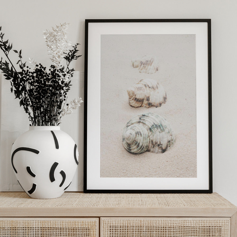 Shells - Art Print by Pictufy Studio III