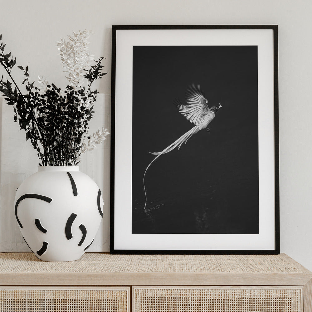 Terpsiphone paradis - Art Print by Mei Hu