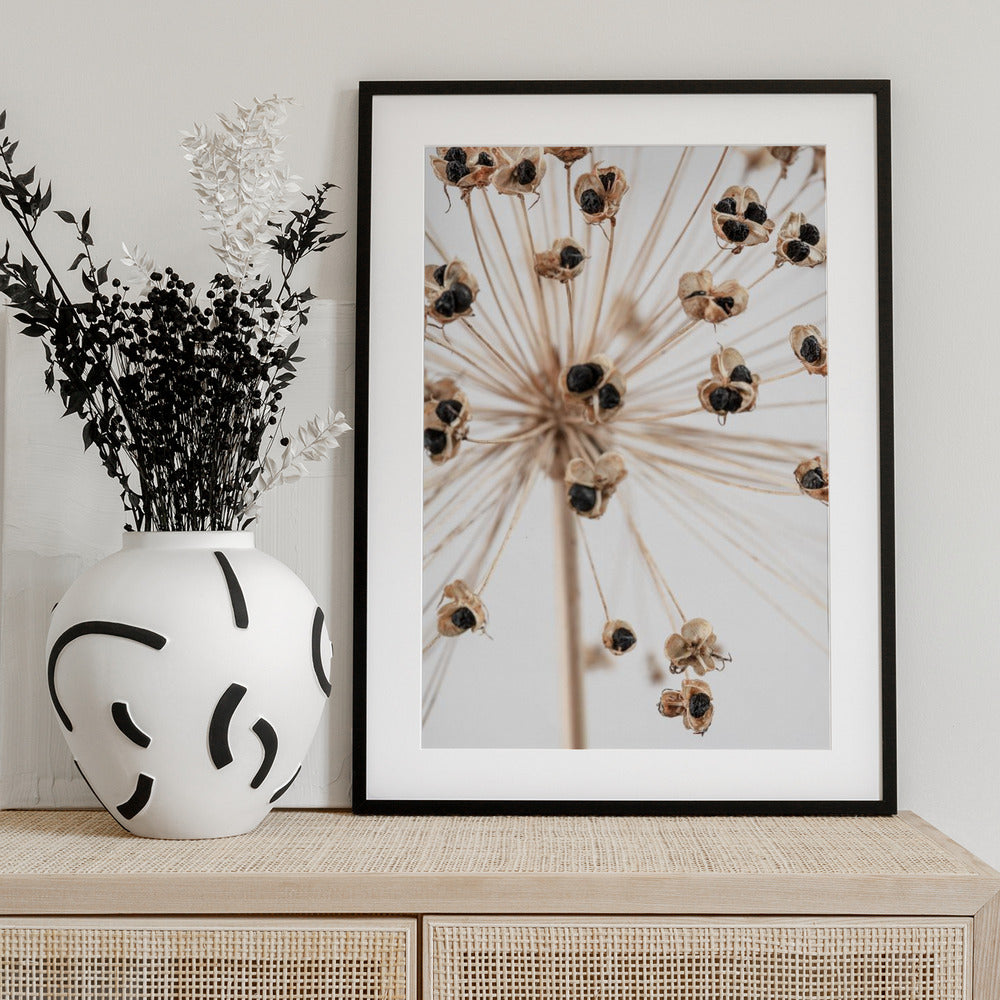 Dried_007 - Art Print by Pictufy Studio III