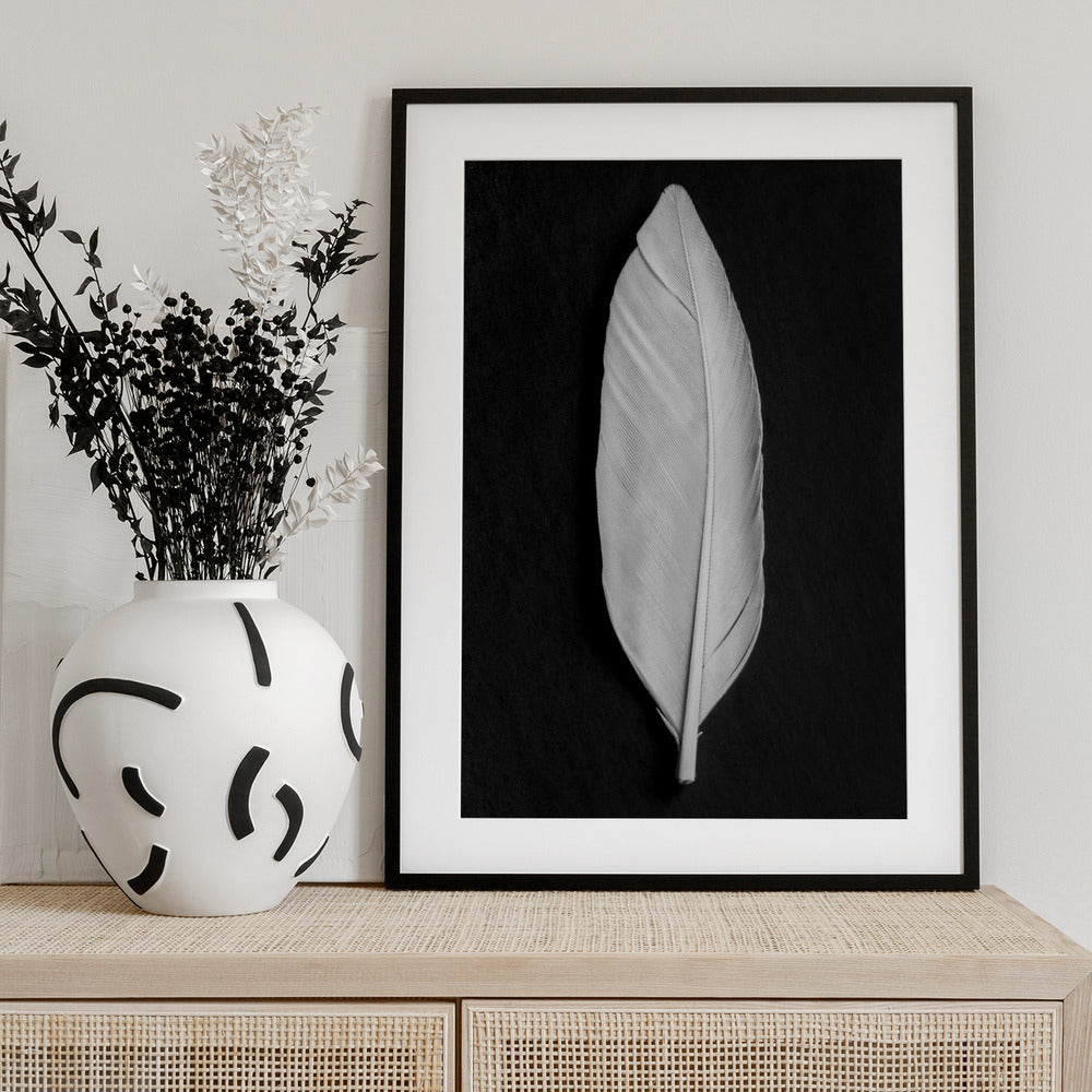 Feather_008 - Art Print by Pictufy Studio III
