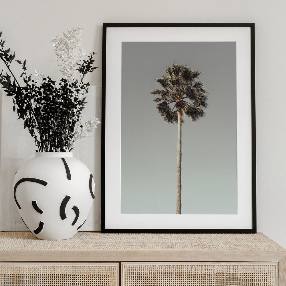 Palm_001 - Art Print by Pictufy Studio III