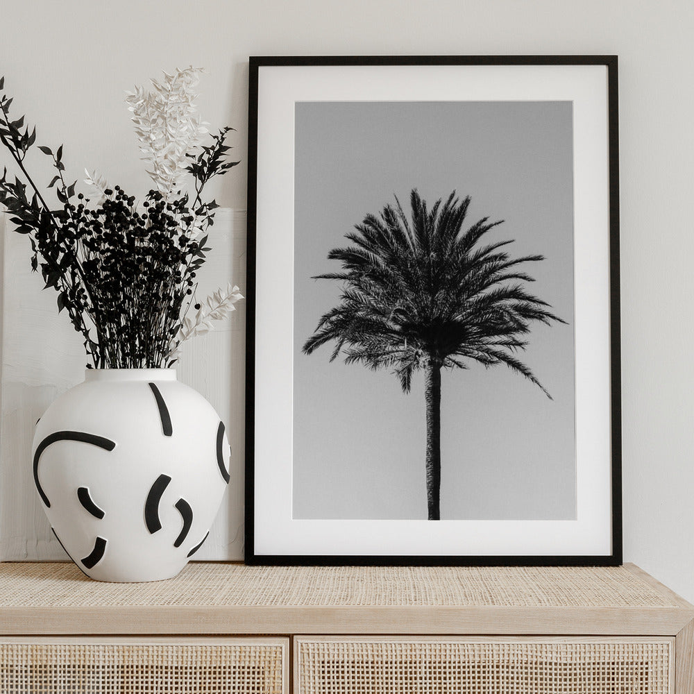 Palm_003 - Art Print by Pictufy Studio III