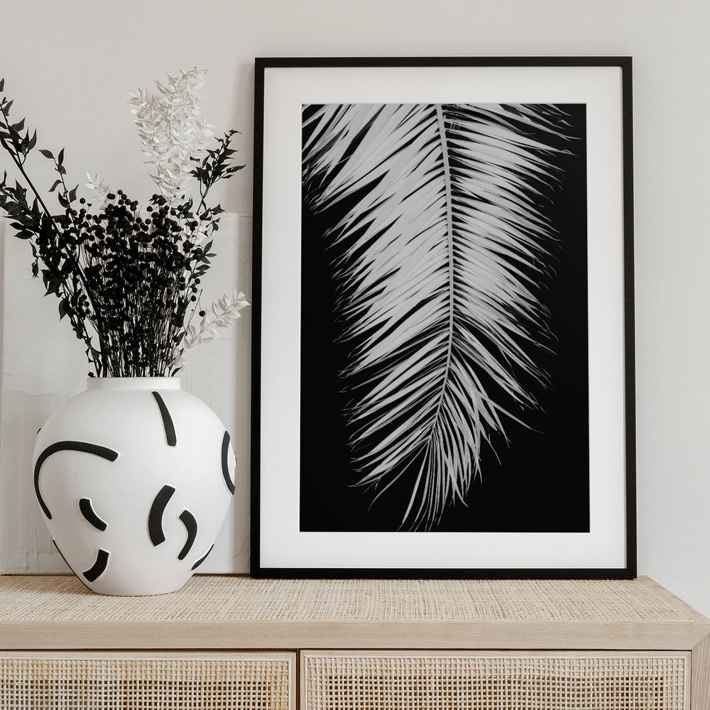 Palmblad_004 - Art Print by Pictufy Studio III