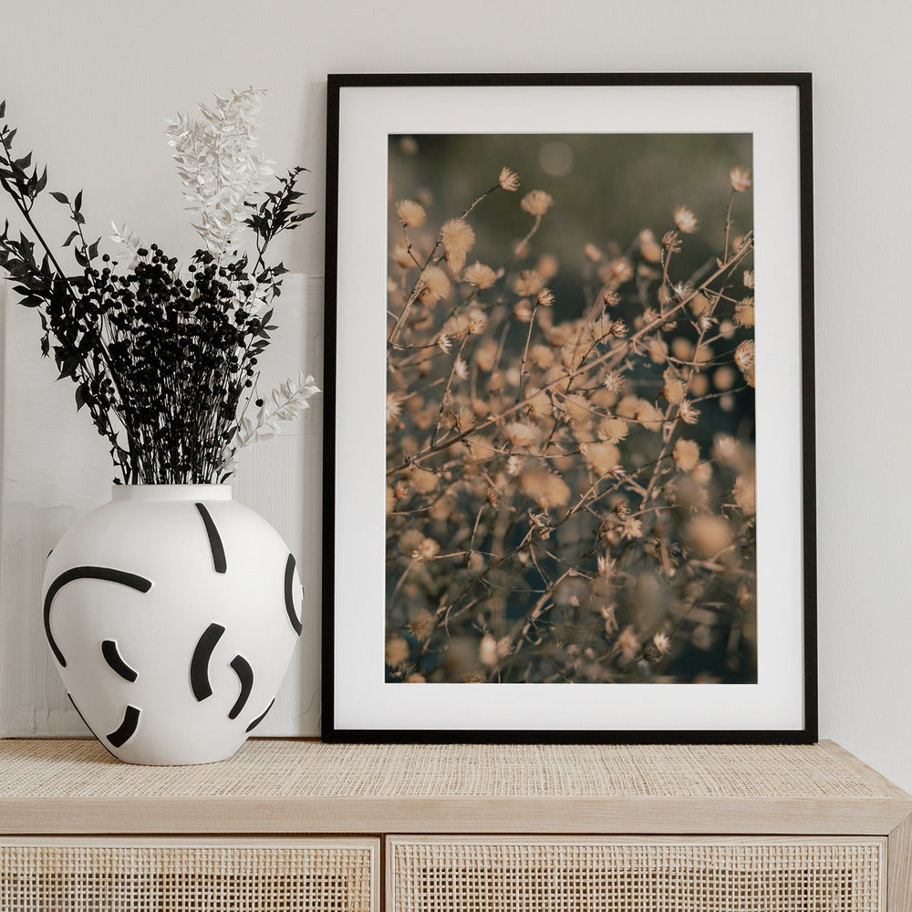 Beach flowers_003 - Art Print by Pictufy Studio III