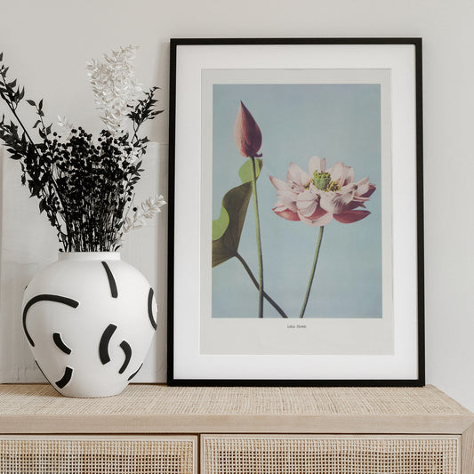 Lotus Flowers - Art Print by Ogawa Kazumasa