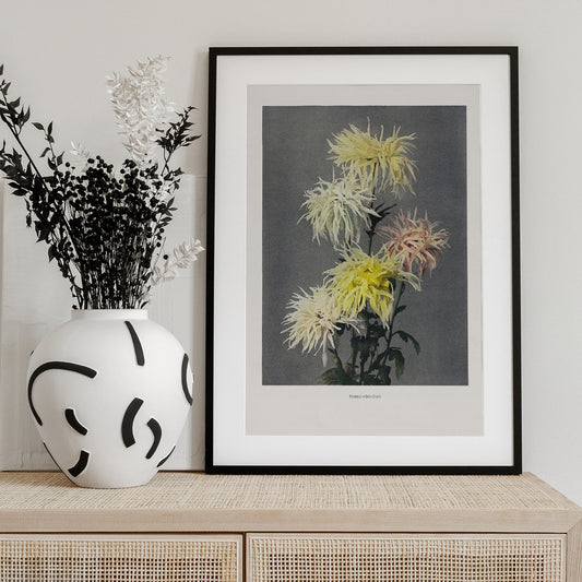 Nami–chi–dori - Art Print by Ogawa Kazumasa