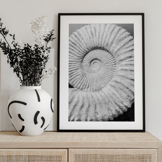 Ancient Spiral Dreams - Art Print by Shot by Clint