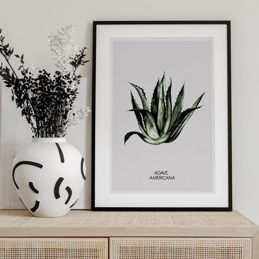 Green Agave Elegance - Art Print by THE MIUUS STUDIO