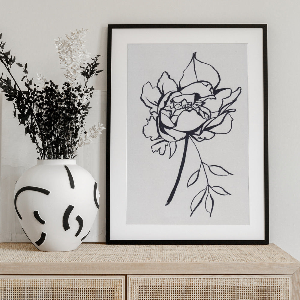 Black and White Peony - Art Print by Christine Lindstrom