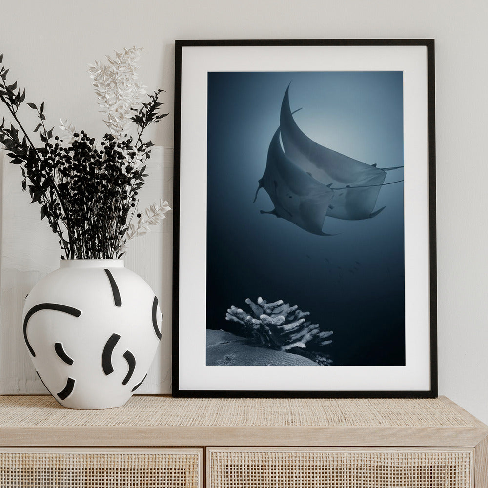 Sonata - Art Print by Andrey Narchuk