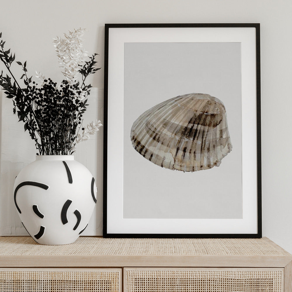 Seashell Serenity - Art Print by Treechild