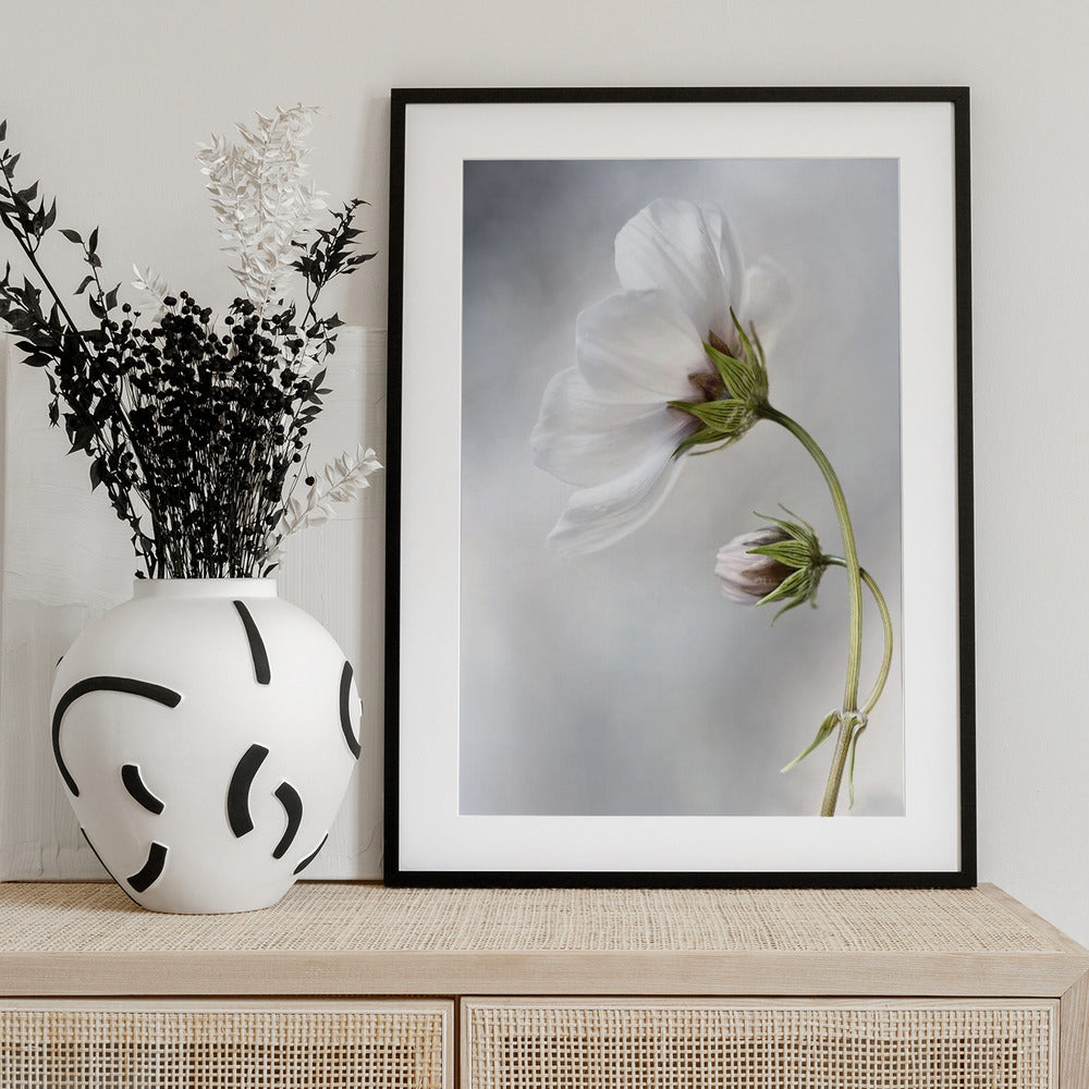 Heavenly Cosmos - Art Print by Mandy Disher
