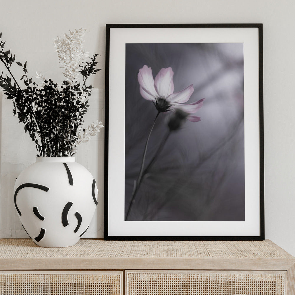 Cosmos - Art Print by Hideto Morimatsu