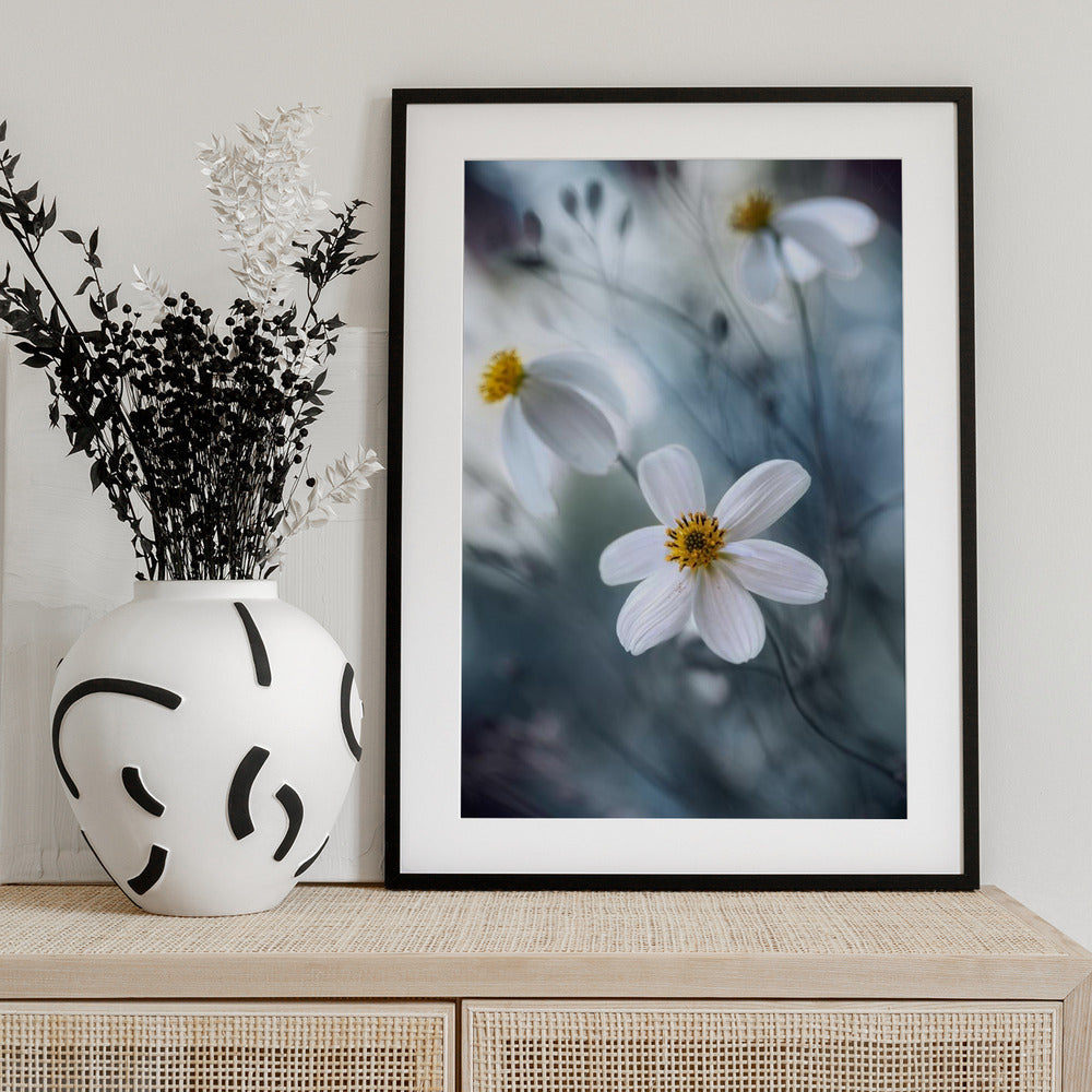 Cosmos - Art Print by Mandy Disher