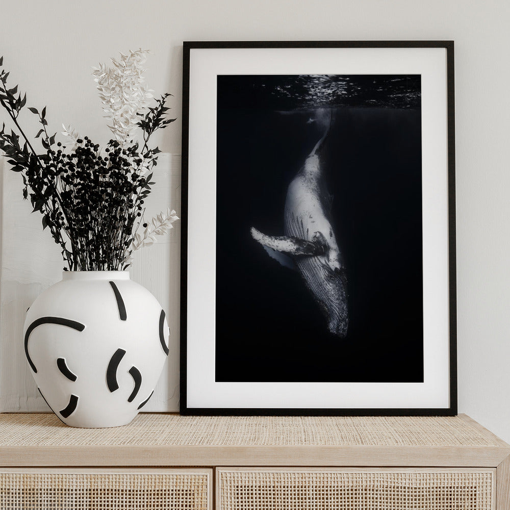 Black Whale - Art Print by Barathieu Gabriel