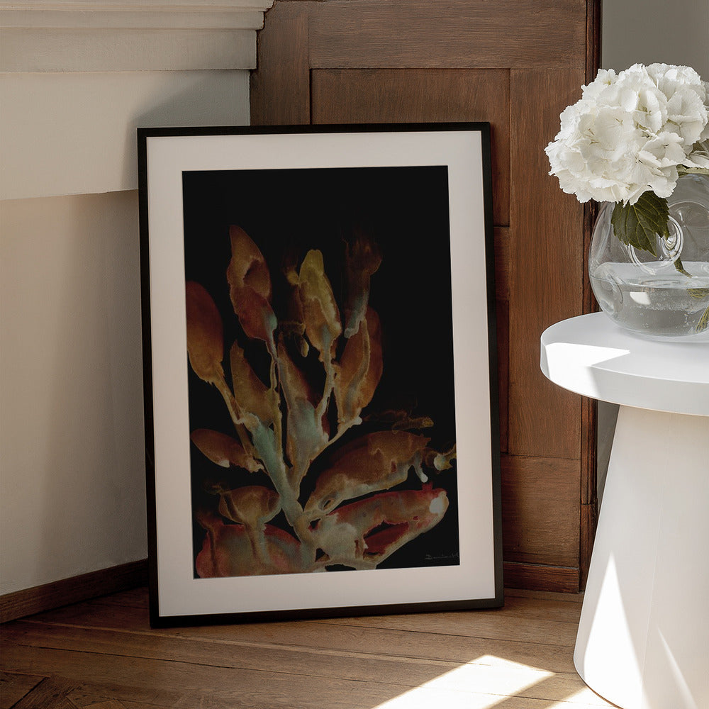 Night Plant - Art Print by Dan Hobday