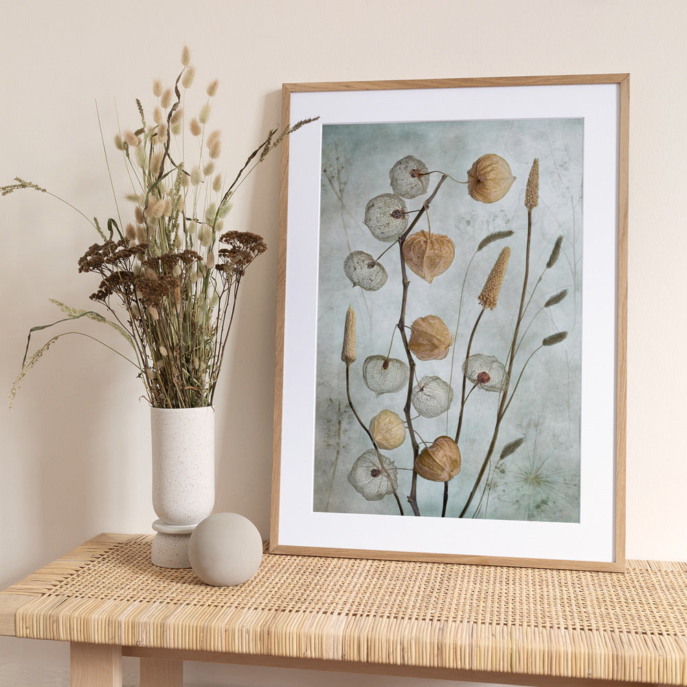 Lanterns* - Art Print by Mandy Disher