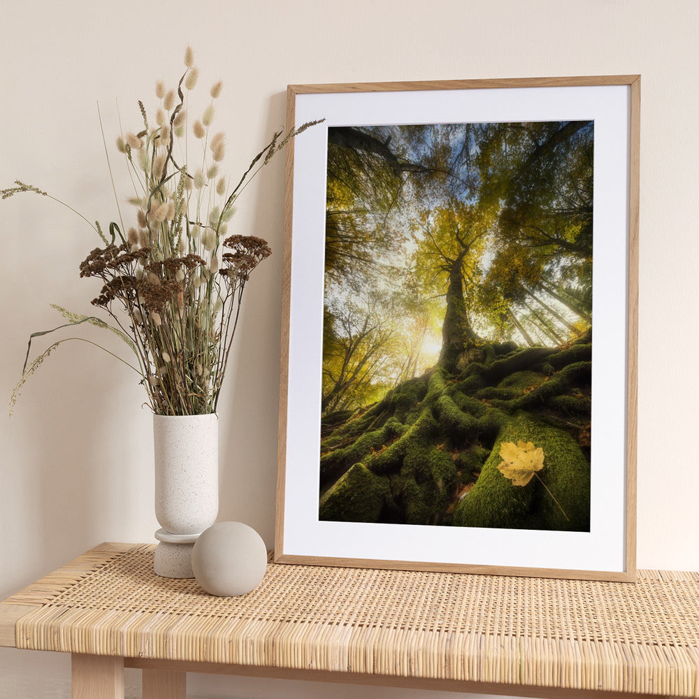 The goodbye of a leaf - Art Print by Alberto Ghizzi Panizza