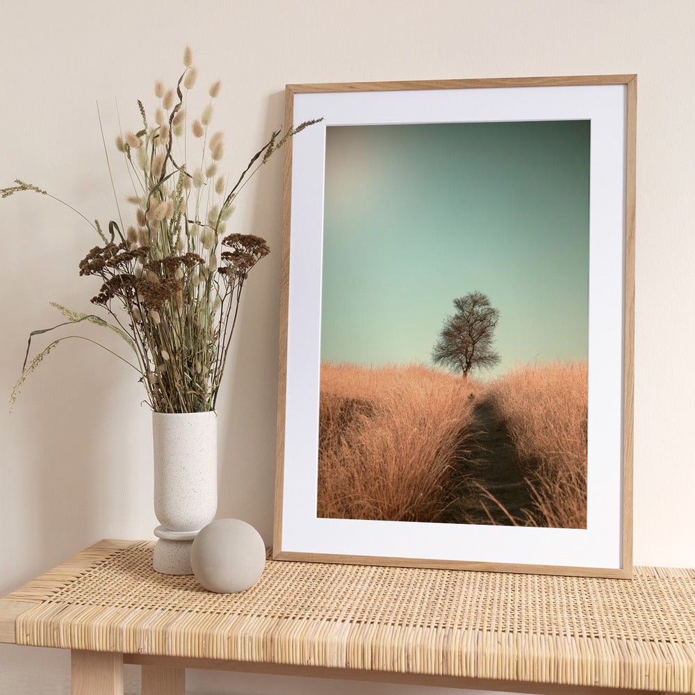 Grass and Path - Art Print by Jaap van den Helm