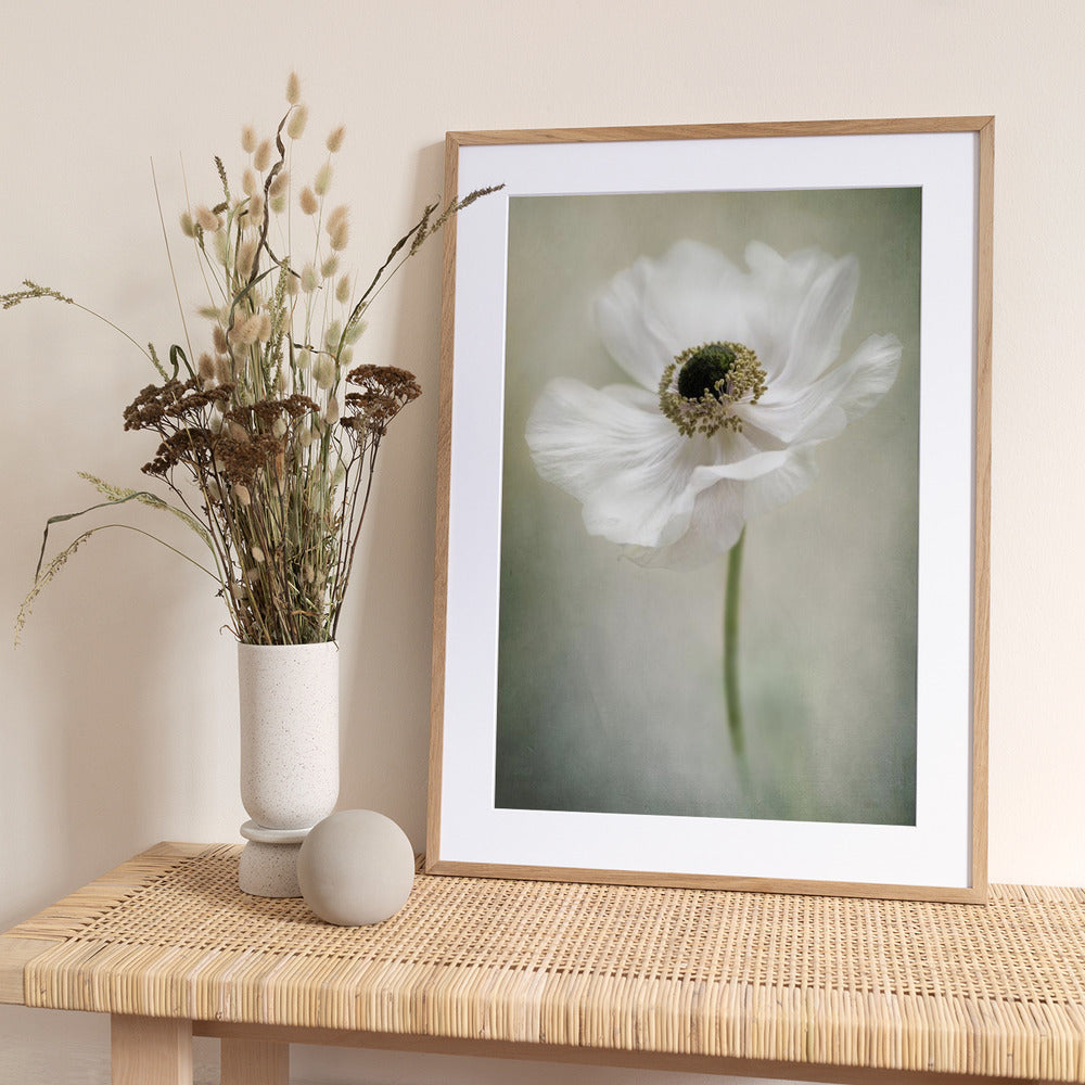 Single White - Art Print by Jacky Parker
