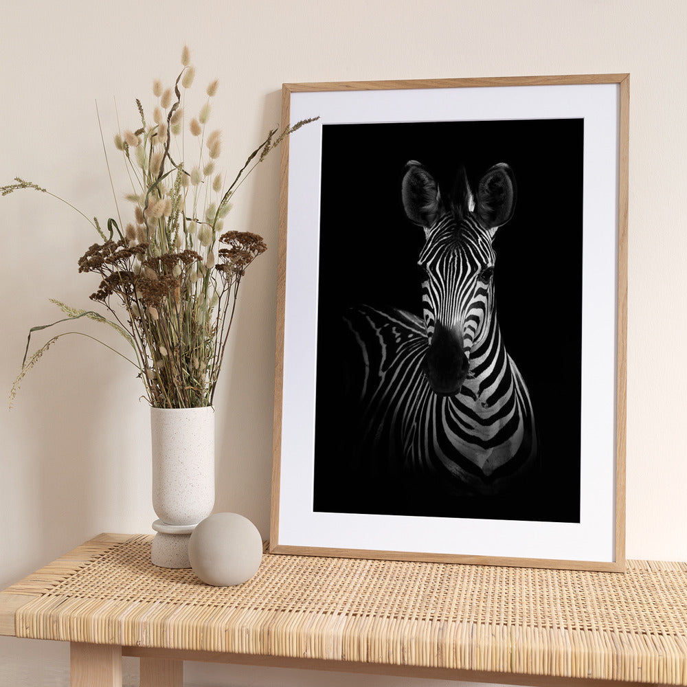 The Zebra - Art Print by WildPhotoArt