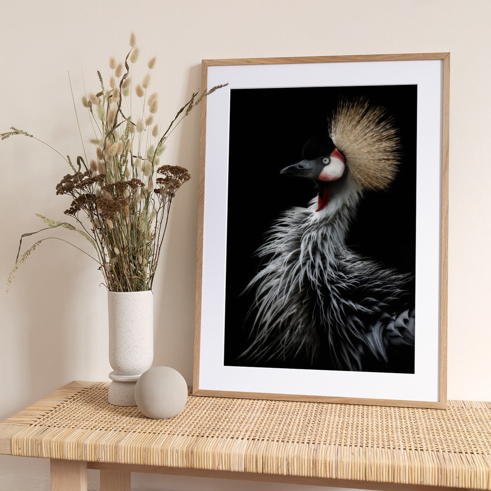 Crowned crane's portrait - Art Print by Eiji Itoyama
