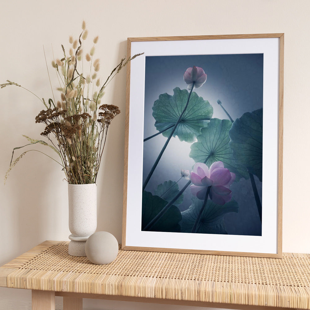 Lotus - Art Print by Shanyewuyu