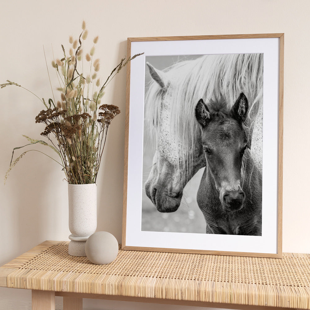 The Foal - Art Print by Jacky Parker