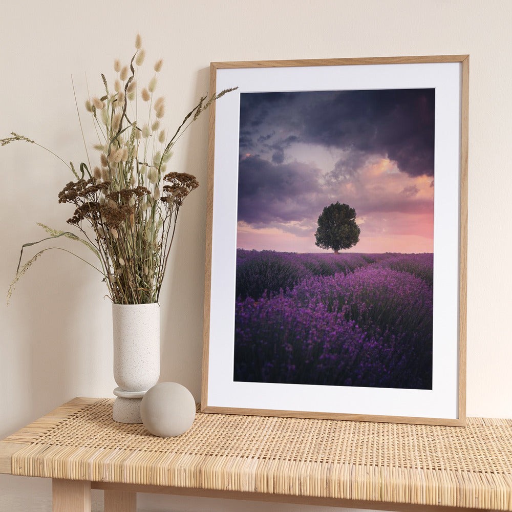 Lavender Fields, Isparta - Art Print by Cuma Cevik