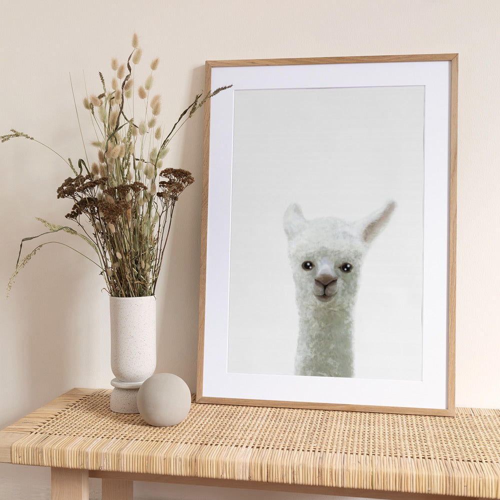 Llama - Art Print by Pictufy Studio II