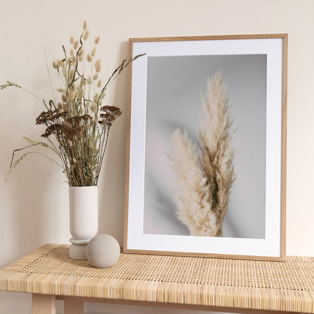 Pampas Grass Grey - Art Print by Pictufy Studio III