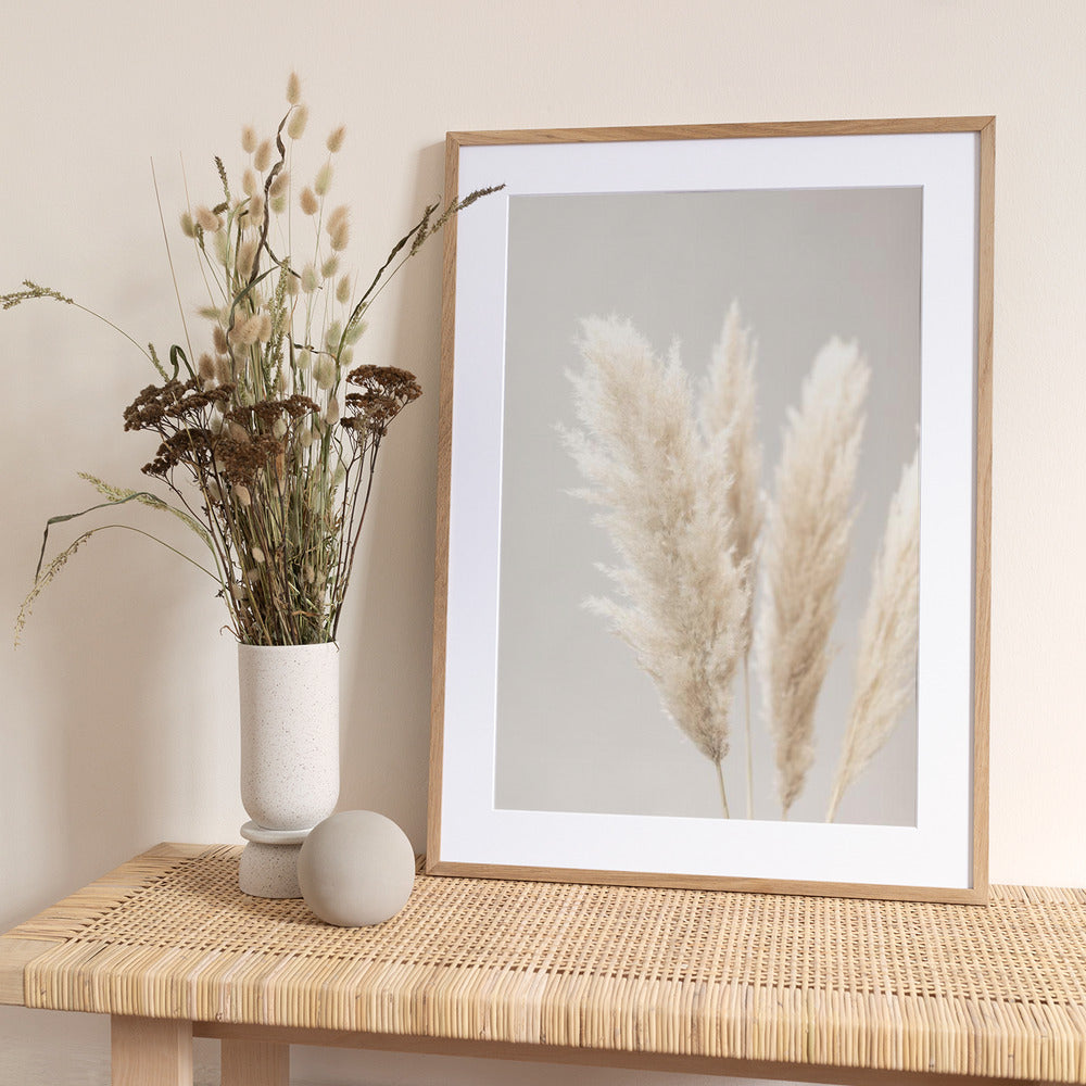 Pampas Grass Grey 02 - Art Print by Pictufy Studio III