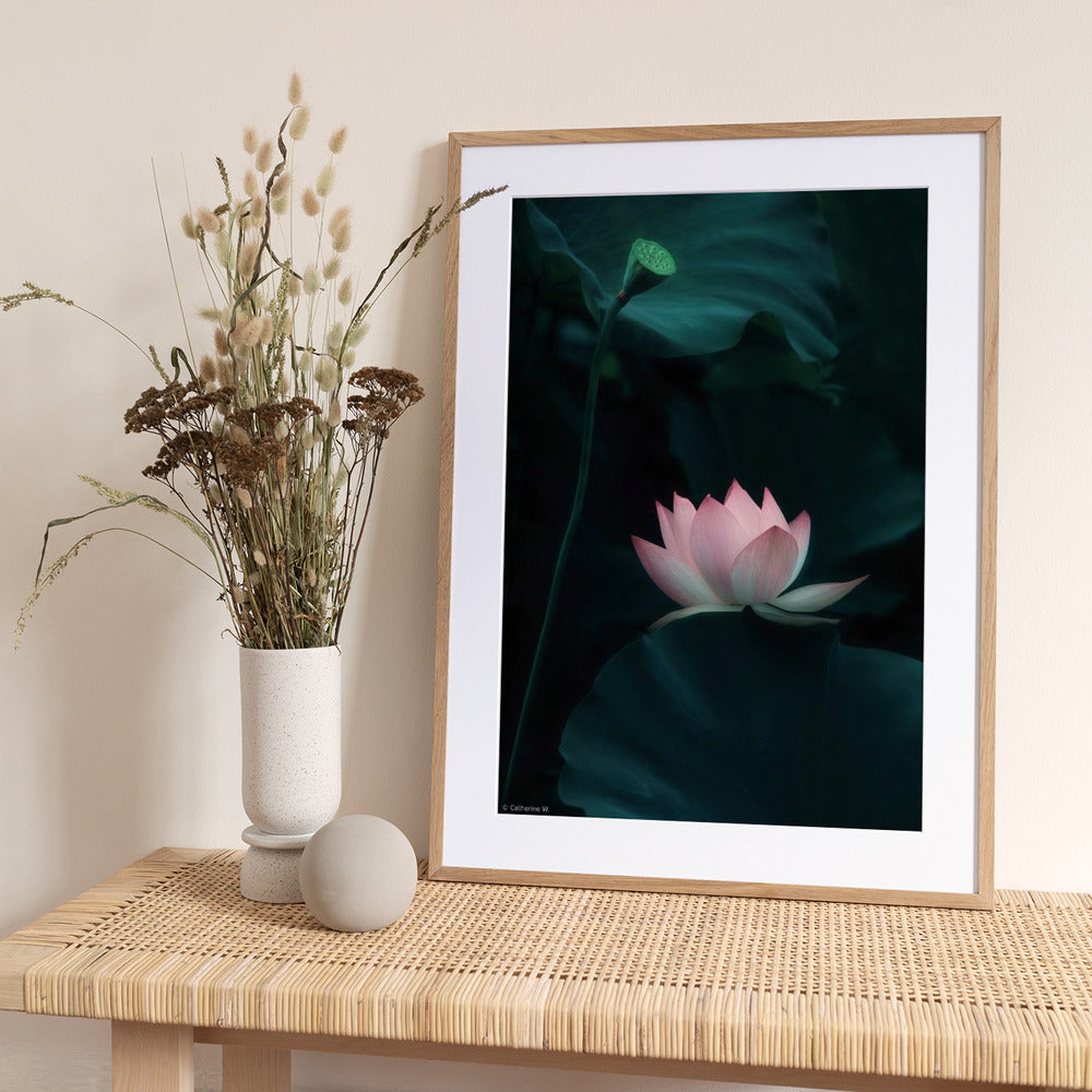 Lotus Flower - Art Print by Catherine Wang