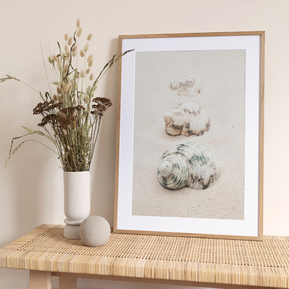 Shells - Art Print by Pictufy Studio III
