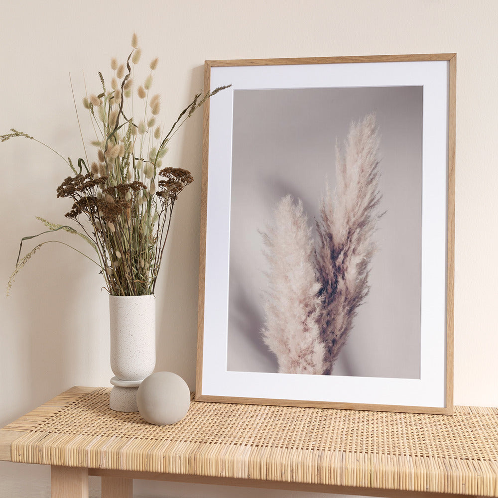 Pampas Grass - Art Print by Pictufy Studio III