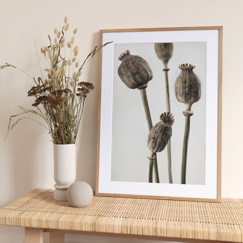 Dried_006 - Art Print by Pictufy Studio III