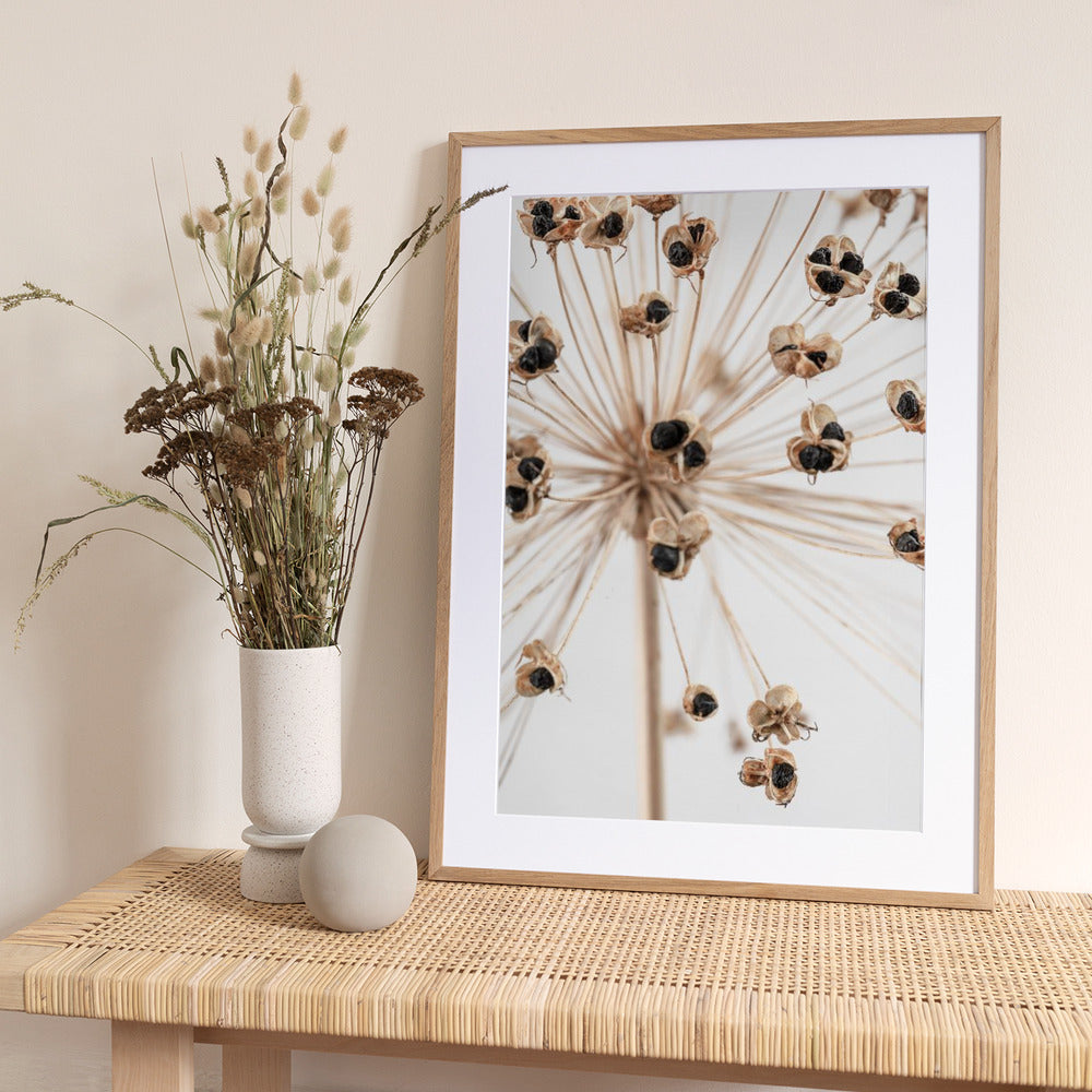 Dried_007 - Art Print by Pictufy Studio III