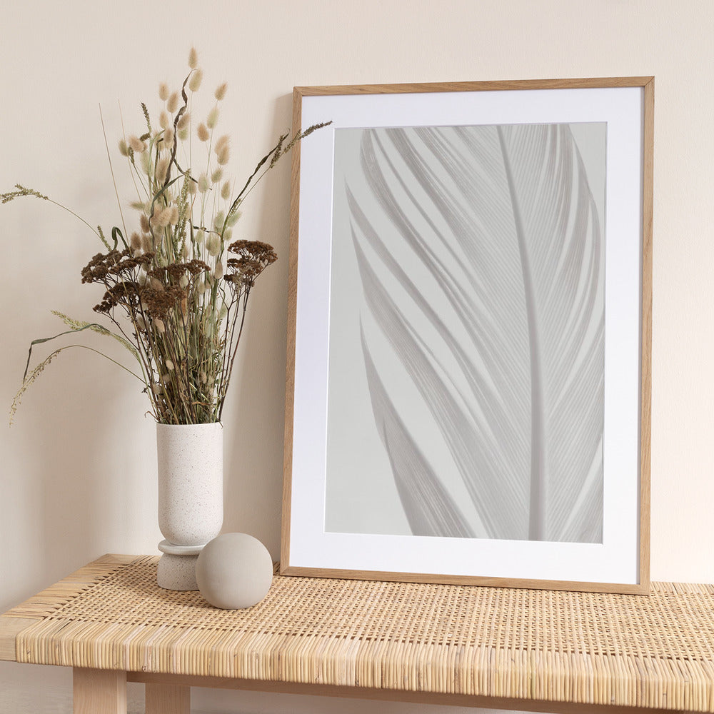 Feather_006 - Art Print by Pictufy Studio III
