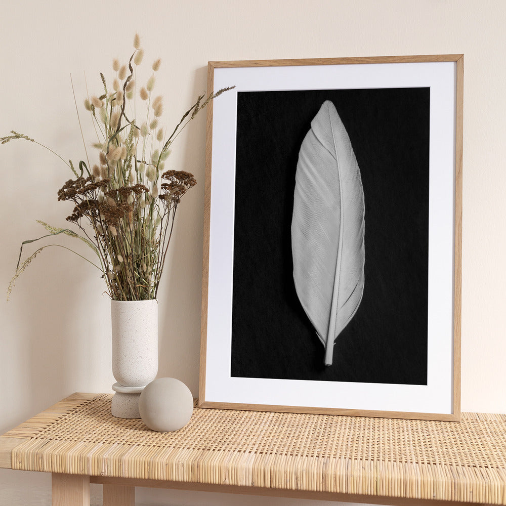 Feather_008 - Art Print by Pictufy Studio III
