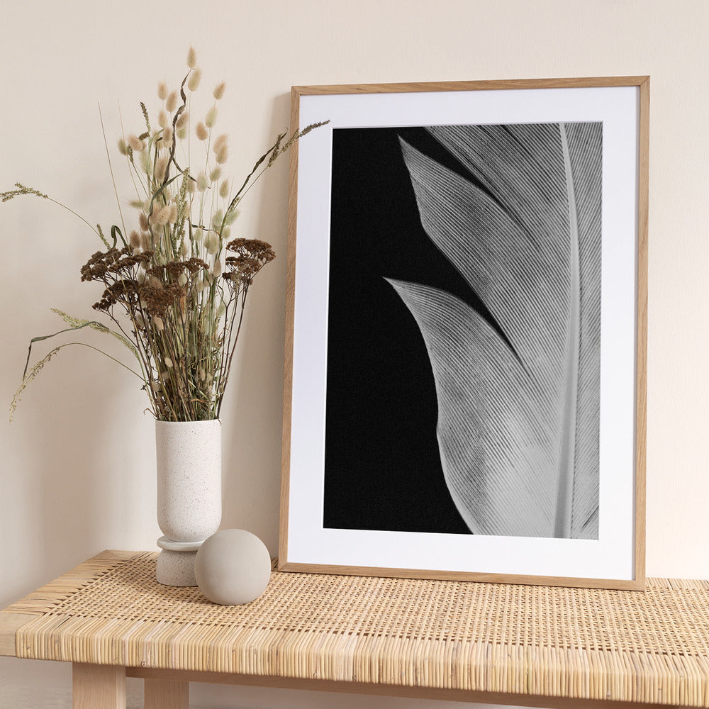 Feather_005 - Art Print by Pictufy Studio III