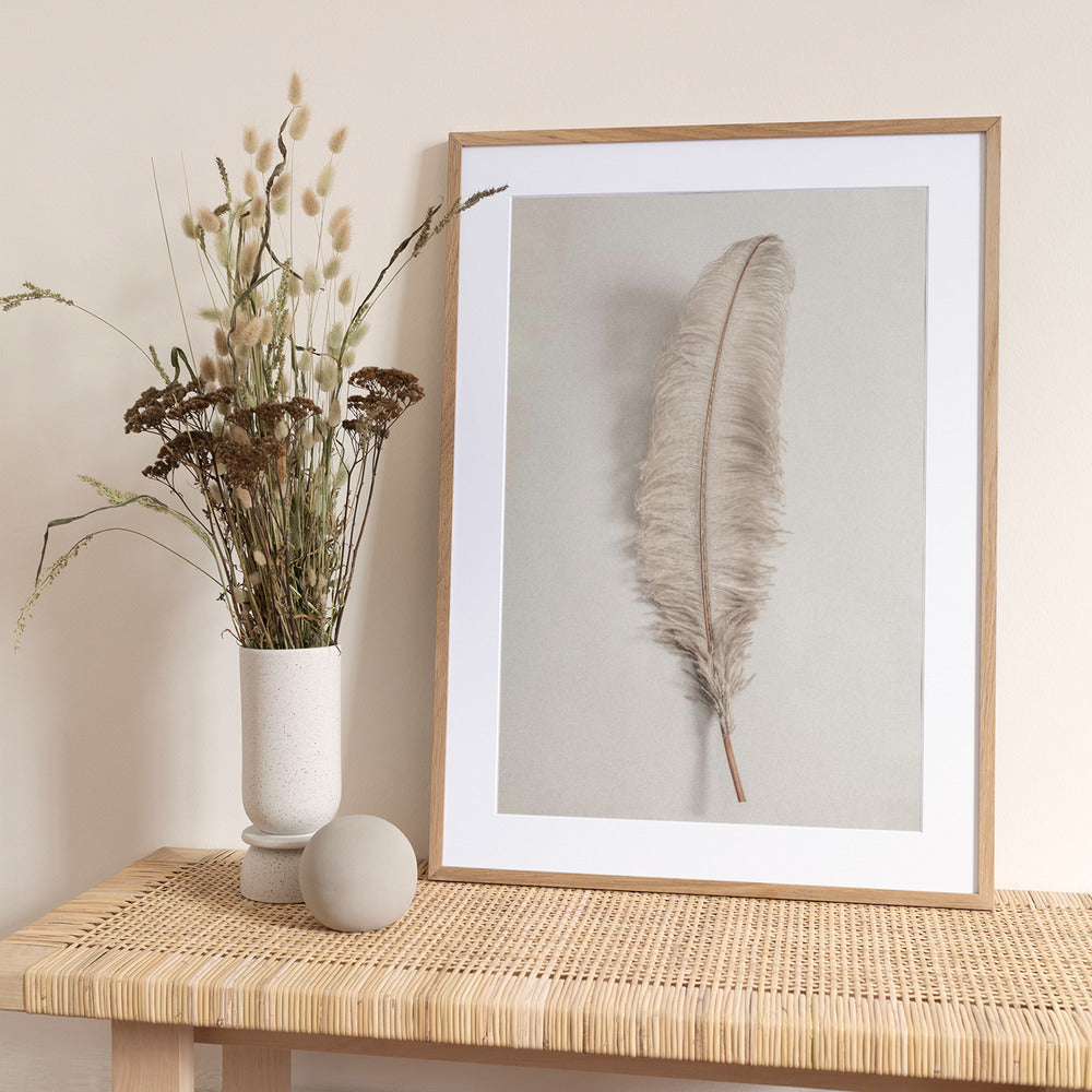 Feather_002 - Art Print by Pictufy Studio III
