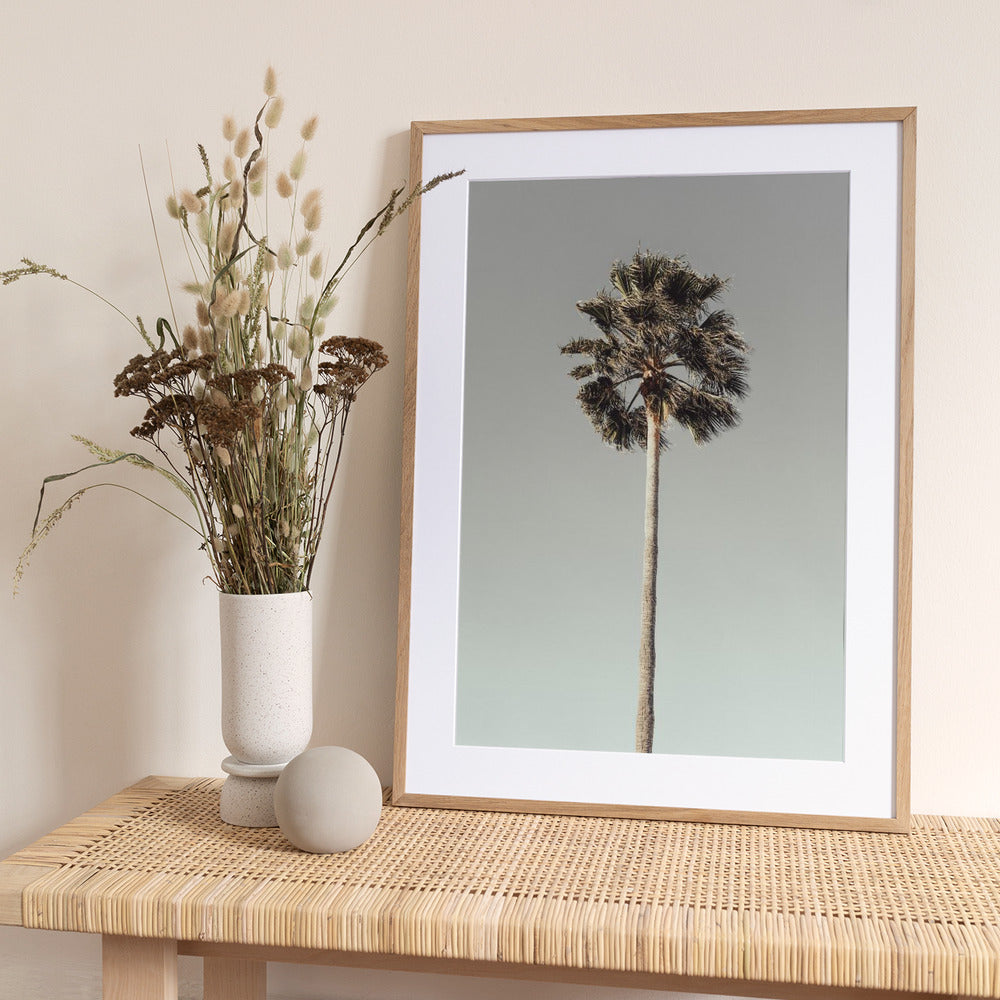 Palm_001 - Art Print by Pictufy Studio III